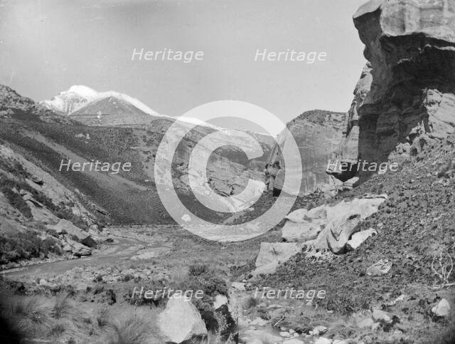 Gorge of Thomas and Porter Rivers, West Coast Road, c1880s. Creator: Burton Brothers.