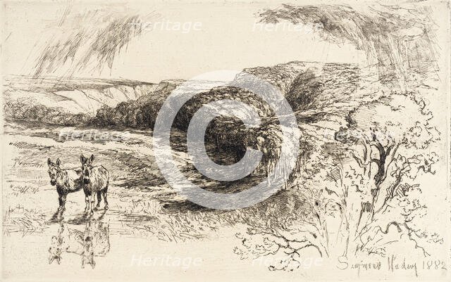 Encombe Woods, No. II, 1882. Creator: Francis Seymour Haden.