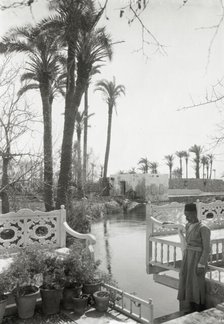 Abdul Baha garden, Acre, 1925. Creator: Frances Benjamin Johnston.