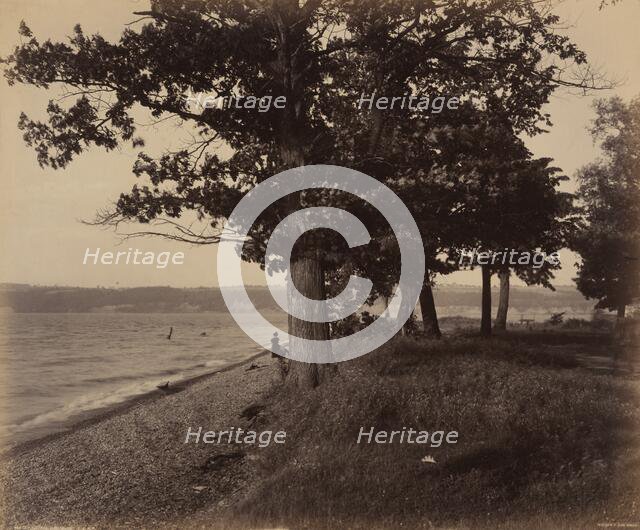 Cayuga Lake, Sheldrake, c. 1895. Creator: William H Rau.