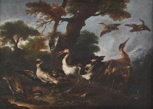 Landscape with Birds, 1665-1730. Creator: Angelo Maria Crivelli.