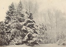 Paysage de sapins sous la neige, c. 1852. Creator: A. Fays.