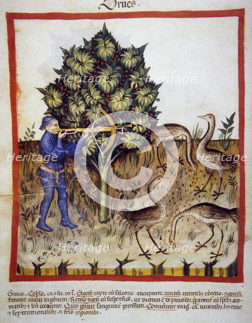 Hunting, 14th century.  Creator: Unknown.