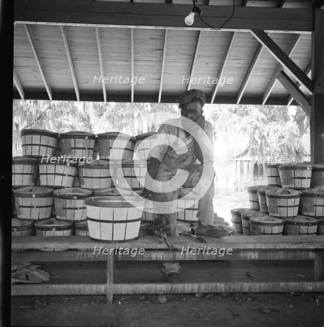 Migrant shed worker, Northeast Florida, 1936. Creator: Dorothea Lange.