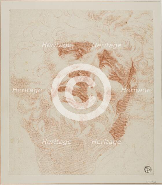 Study for Head of Laocoon, n.d. Creator: Andrea Appiani.