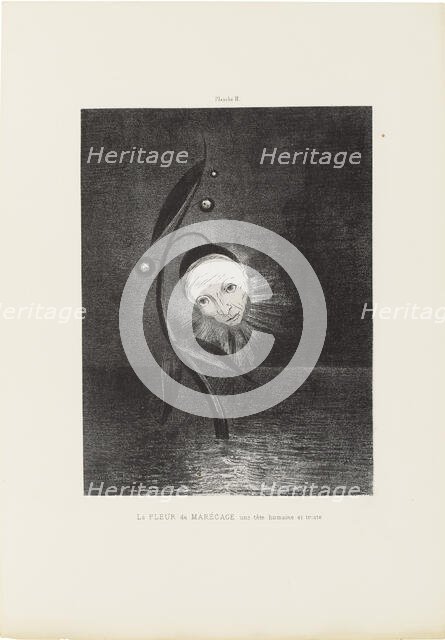 Homage to Goya: The Marsh Flower, 1885. Creator: Redon, Odilon (1840-1916).