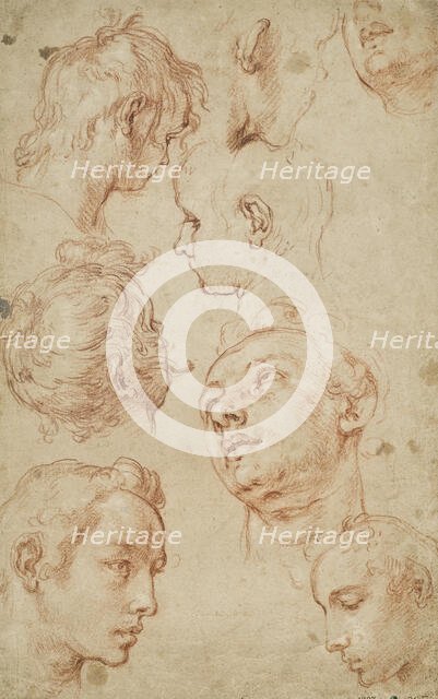 Eight studies of male heads. Creator: Abraham Bloemaert.