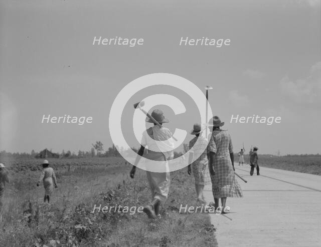 Cotton hoers (day laborers) move from one field across..., Mississippi Delta, 1937. Creator: Dorothea Lange.