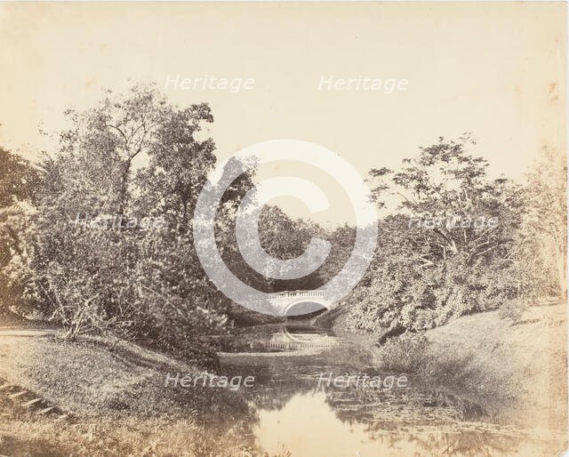 Botanical Gardens, Calcutta, 1850s. Creator: Captain R. B. Hill.