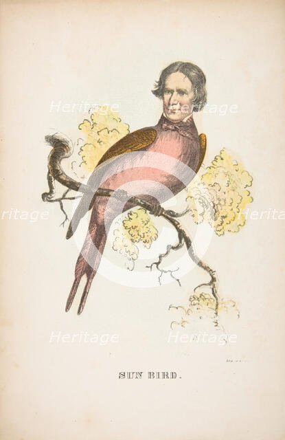 Sun Bird (James S. Wallace), from The Comic Natural History of the Human Race, 1851. Creators: Henry Louis Stephens, L. Rosenthal.