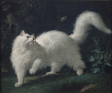 Angora cat chasing a butterfly, ca 1760. Creator: Bachelier, Jean-Jacques (1724-1806).