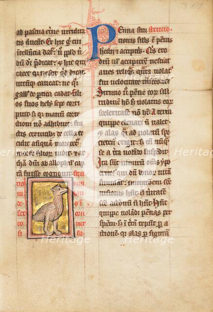 An Ostrich; De Natura Avium; De Pastoribus et Ovibus; Bestiarium, 1277 or after. Creator: Unknown.