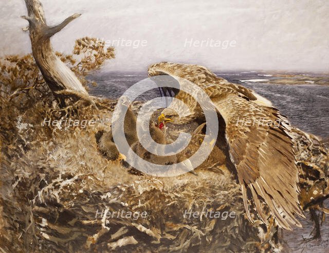 Sea Eagle's Nest, 1907. Creator: Bruno Liljefors.