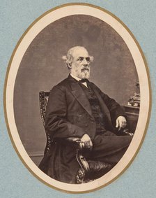 Robert E. Lee, 1869. Creator: Mathew Brady.
