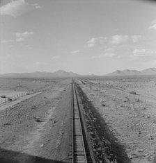 Southwestern New Mexico, 1938. Creator: Dorothea Lange.