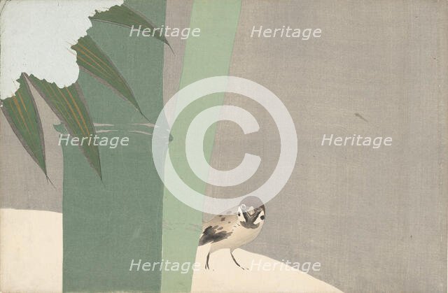 Settchu-take (Bamboo in Snow). From the series "A World of Things (Momoyogusa)", 1909-1910. Creator: Sekka, Kamisaka (1866-1942).