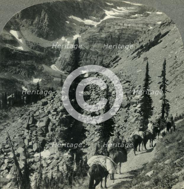 'Verdure and Snowbanks along the Trail to Lincoln Pass, Glacier Nat. Park, Mont.', c1930s. Creator: Unknown.