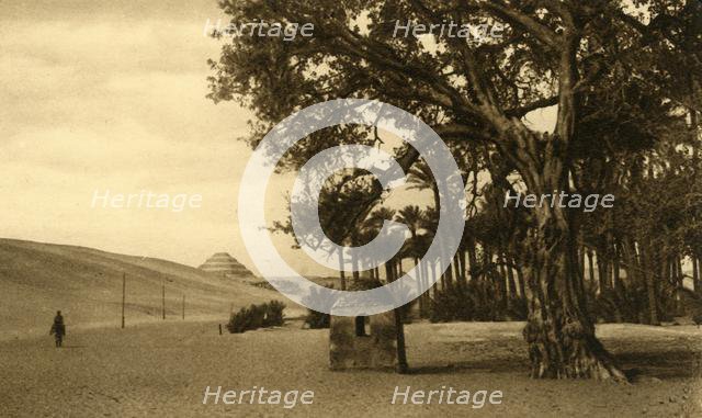 'Saqqara - The Step Pyramid seen from the Sycomore', c1918-c1939. Creator: Unknown.