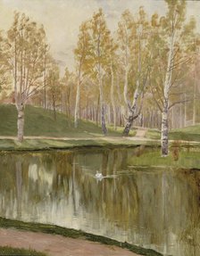 Kaisaniemi pond, 1882. Creator: Aukusti Uotila.