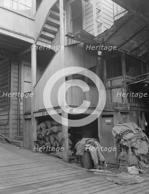 Backyard, North Beach District (Italians), San Francisco, California, 1936. Creator: Dorothea Lange.