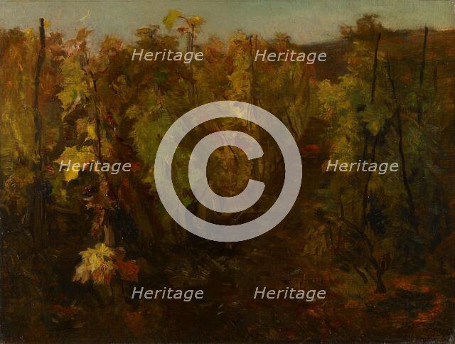 La Vigne [The Vine], 1860-1863. Creator: Charles Francois Daubigny.