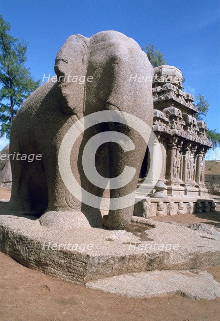 Carved stone elephant, Five Rathas, Mahabalipuram, Tamil Nadu, India.