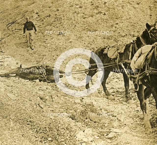 Clearing the battlefield, c1914-c1918. Artist: Unknown.