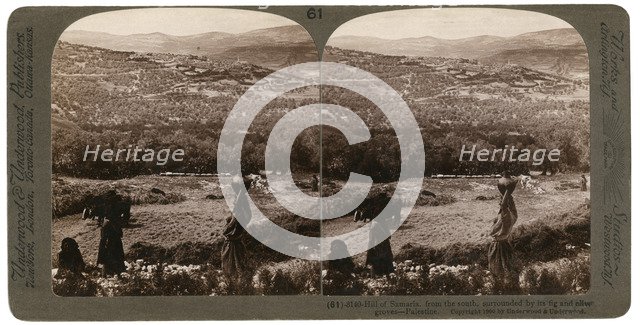 The Hill of Samaria, from the south, surrounded by its fig and olive groves, Palestine, 1900.Artist: Underwood & Underwood