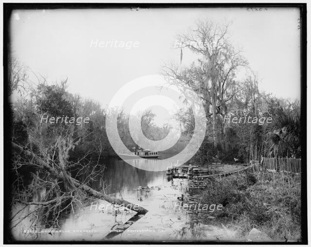 Brown's landing, Rice Creek, between 1880 and 1897. Creator: William H. Jackson.