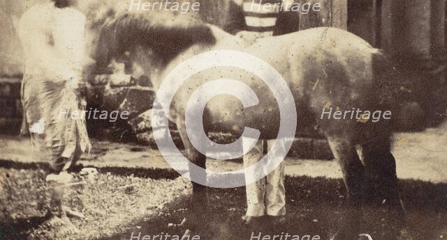 My Pegu Pony, 1858-61. Creator: Unknown.