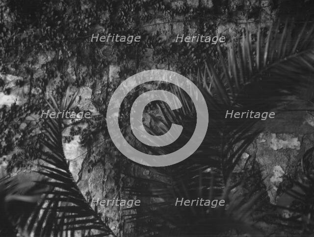 Courtyard, New Orleans, between 1920 and 1926. Creator: Arnold Genthe.