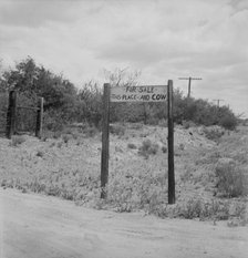 Sign near Saint David, Arizona, 1937. Creator: Dorothea Lange.