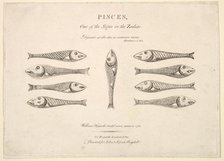 Pisces: Hogarth's Quadrille Fish, ca. 1730. Creator: Unknown.
