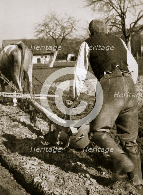 A farmer at work, ploughing a field, Germany, 1936. Artist: Unknown
