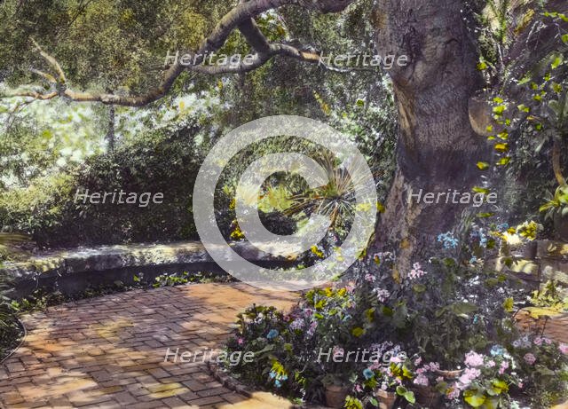 "Glendessary," Robert Cameron Rogers house, Glendessary Lane, Santa Barbara, California, 1917. Creator: Frances Benjamin Johnston.