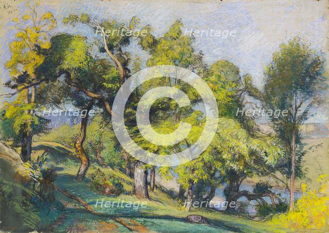 Chestnut Trees above a River, c.1900. Creator: Auguste Lepere.