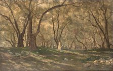 Young girl under the olive trees - Menton, c.1897. Creator: Henry Brokman.