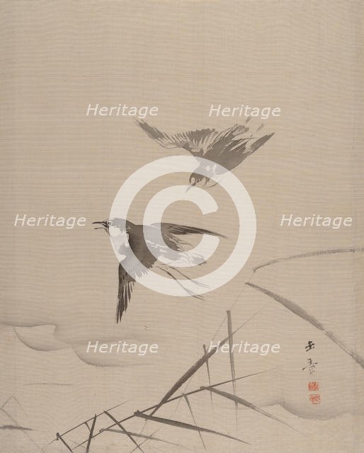 Small Birds and Bamboo, 1887-92. Creator: Gyokusho Kawabata.