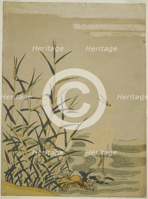 Egrets in the Reeds, c. 1774. Creator: Isoda Koryusai.