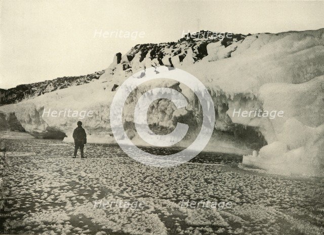 'Ice Flowers on Newly Formed Sea Ice Early in the Winter', c1908, (1909).  Artist: Unknown.