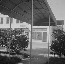 City hospital for Negroes, Daytona Beach, Florida, 1943. Creator: Gordon Parks.