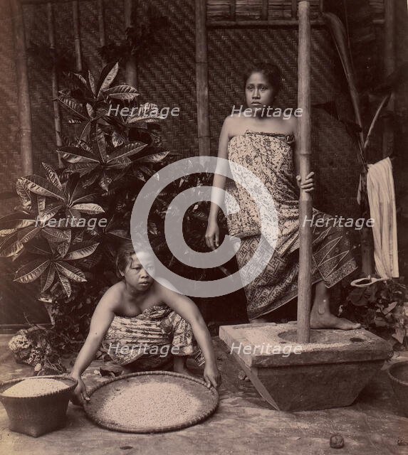 Javanese Women Preparing Rice, 1860s-70s. Creator: Unknown.