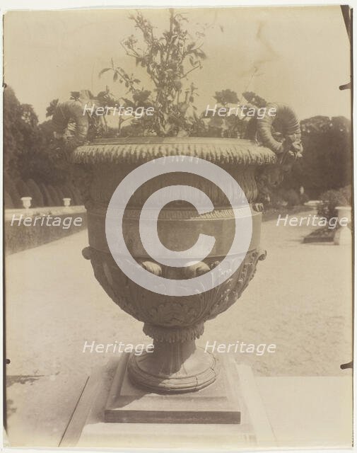 Versailles, Vase par Ballin, 1905. Creator: Eugene Atget.
