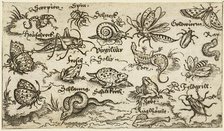 Insects, reptiles, snails, and fish on minimal ground with water in foreground..., 1572.  Creator: Virgil Solis.