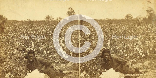 Picking cotton. [Woman resting in the field], (1868-1900?). Creator: O. Pierre Havens.