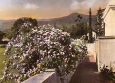 "El Fureidis," James Waldron Gillespie house, Parra Grande Lane, Montecito, California, 1917. Creator: Frances Benjamin Johnston.