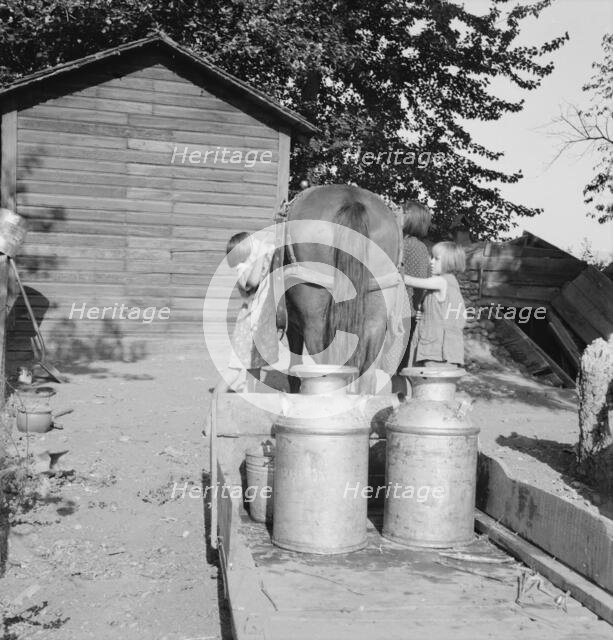 All Chris Adolf's children are hard workers on the new place, Yakima Valley, Washington, 1939. Creator: Dorothea Lange.