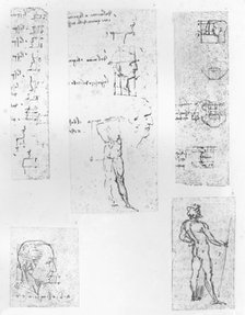 Five drawings illustrating the theory of the proportions of the human figure, c1472-c1519 (1883). Artist: Leonardo da Vinci.
