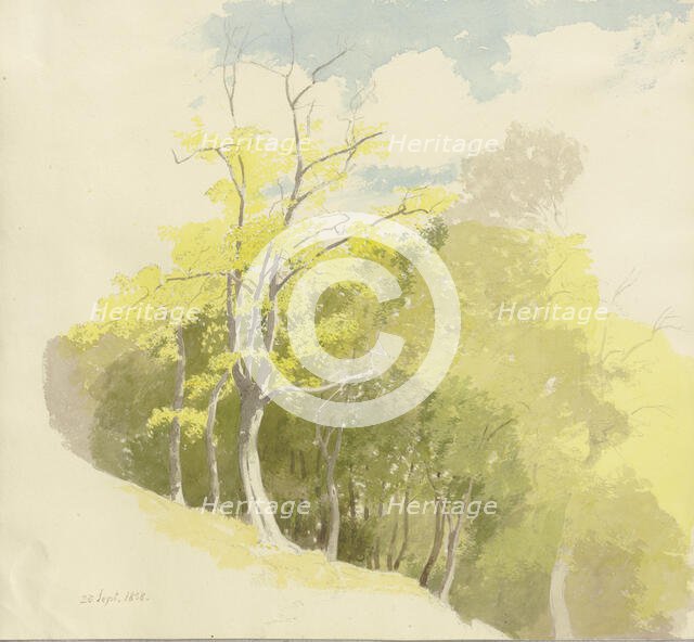 Forest at a slope, 1858. Creator: Carl Theodor Reiffenstein.