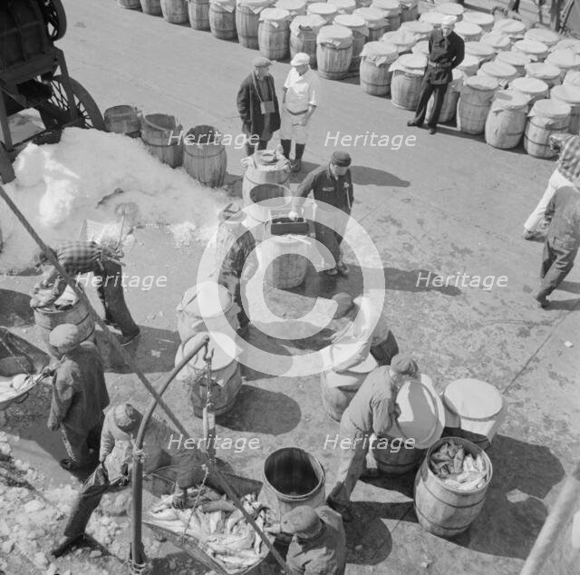 Possibly: Fulton fish market dock stevedores unloading and weighing fish in the..., New York, 1943. Creator: Gordon Parks.